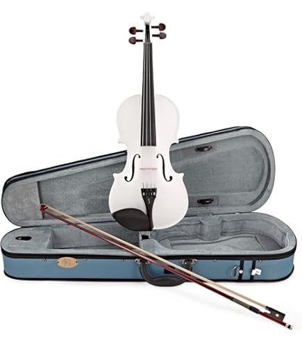 Stentor Student I Violin Outfit 3/4 Size : Amazon.co.uk: Musical